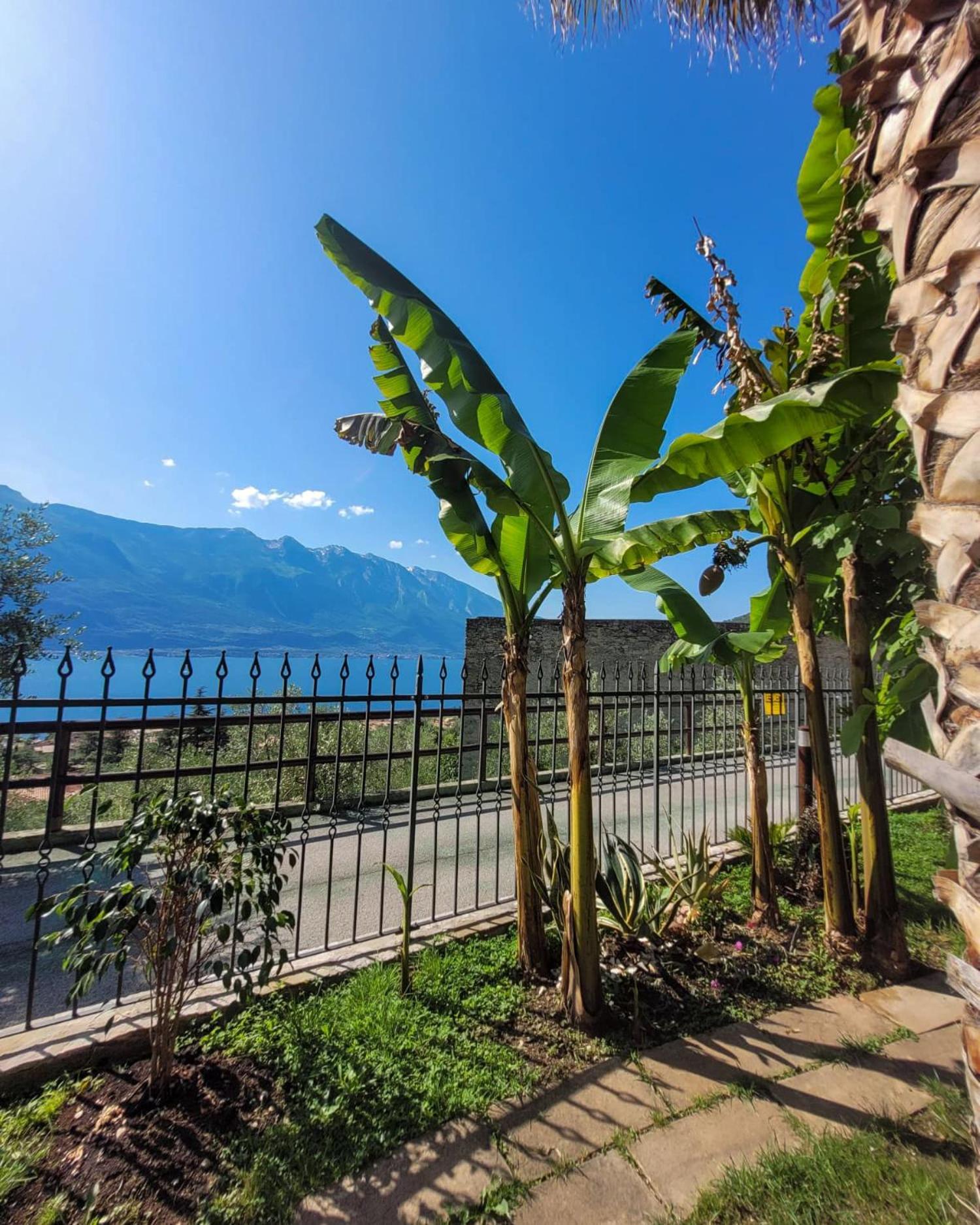Villa Fior Di Loto Limone sul Garda Exteriér fotografie