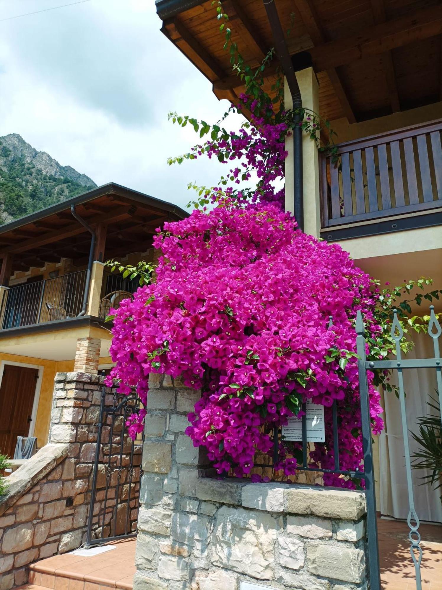 Villa Fior Di Loto Limone sul Garda Exteriér fotografie